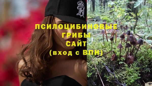 мдпв Арсеньев