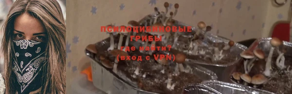 дурь Аркадак