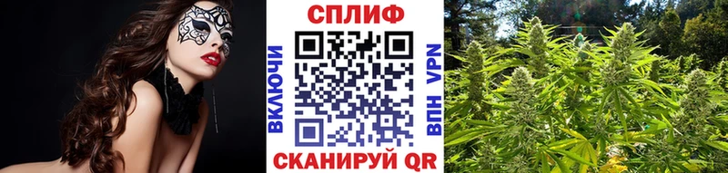 Марихуана семена  hydra вход  Баймак  купить  цена 